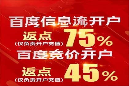 竞价排名的投放策略与效果评估案例